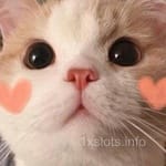 Avatar Daniela Solís