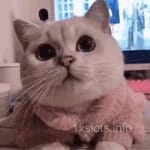 Avatar Miguel González